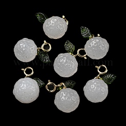 Подвески из натурального белого агата G-R489-25G