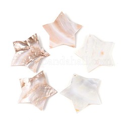 Пресноводных оболочки большие кулоны SHEL-T012-10