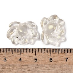 Краски для выпечки стеклянные бусины&nbsp;GLAA-S202-13F