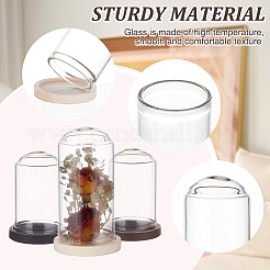 15 шт. мини стеклянный купол&nbsp;DJEW-BC0001-19