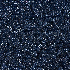 Miyuki Delica Perlen&nbsp;SEED-X0054-DB0286