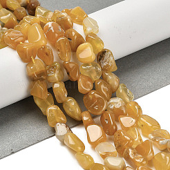 Природных драгоценных камней бисер нитей G-P497-01E-14