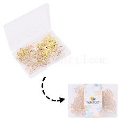 Железа филигранной столяры IFIN-PH0024-67