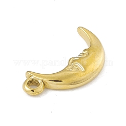 Pendentifs en acier inoxydable 304&nbsp;STAS-P316-19G