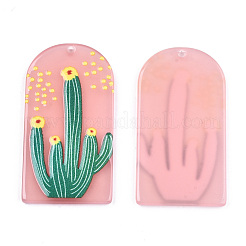 Полупрозрачные акриловые подвески&nbsp;X-KY-S158-72