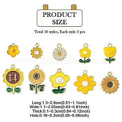 30шт 10 стиля подвески из сплава с эмалью&nbsp;ENAM-YW0005-36