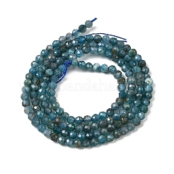Природного апатита нитей бисера G-K366-C06-2mm