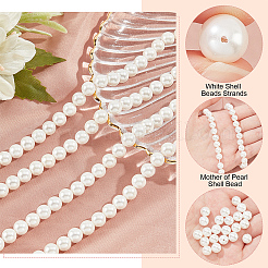 Fili di Perle di vetro&nbsp;SHEL-WH0001-009B-1