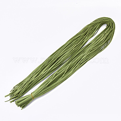 Cordon imitation daim&nbsp;LW-R023-2.8mm-01