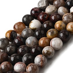 Натуральные мексиканские сумасшедшие агатовые бусины нити&nbsp;G-L615-A01-03