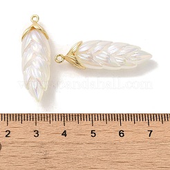 Подвески из смолы с радужным переливающимся покрытием&nbsp;RESI-C047-03B-G