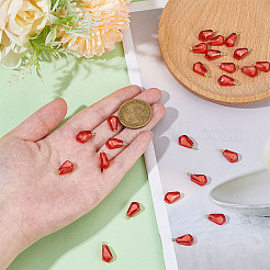 24шт подвески из прозрачной смолы&nbsp;RESI-ME0001-20B