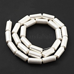 電気めっきシェルパールビーズ連売り  洗練された  コラム  ホワイト  14~15x6~6.5mm  穴：0.8mm  約26個/連  15.28インチ（38.8cm）&nbsp;BSHE-G027-07A-01