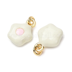 Pendentifs d'émail en laiton &nbsp;LS-KK-CJC21A4-01G-05-RS