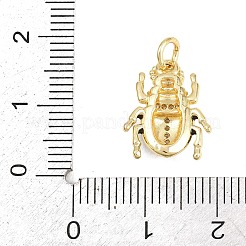 Pendentifs en laiton zircon cubique transparent&nbsp;KK-F938-22B-G05