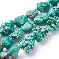 Brins de perles de magnésite naturelle, teinte, pépites, turquoise moyen, 10~23x5~15mm, Trou: 1mm
