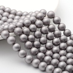 Fili di perline smerigliato guscio tondo, grigio chiaro, 8mm, Foro: 1 mm, circa 52pcs/fili, 15.7 pollice