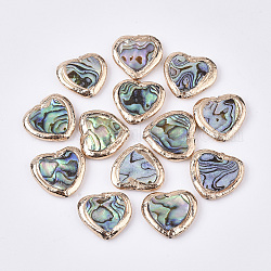 Conchiglia abalone / perle di conchiglia paua, con bordo in argilla polimerica placcato in oro, cuore, 18~19x19~20x4mm, Foro: 0.8 mm