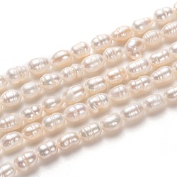 Natural Cultured Freshwater Pearl Beads Strands, Rice, Bisque, 6~8x4~5mm, Hole: 0.7mm, about 52pcs/strand, 13.39 inch(34cm)