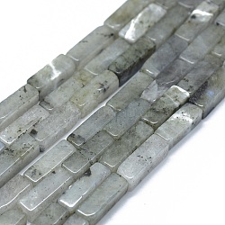 Natural Labradorite Beads Strands, Cuboid, 12.5~13.5x3~5x3~4.5mm, Hole: 1mm, about 30~32pcs/strand, 15.1~15.9 inch(38.5~40.5cm)