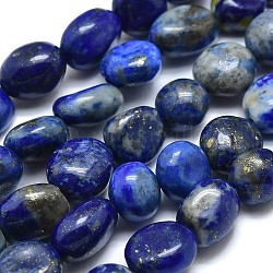 Filo di Perle lapis lazuli naturali , pietra burrattata, pepite, 10~11x7~8x5~6mm, Foro: 0.8 mm, circa 37pcs/filo, 15.75 pollice (40 cm)