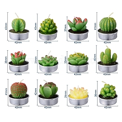 Bougies sans fumée cactus paraffine, bougies décoratives succulentes artificielles, avec des conteneurs en aluminium, pour la décoration, verte, 15.6x10.3x10.3 cm, 12 pièces / kit