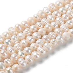 Fili di perle di perle d'acqua dolce coltivate naturali, patata, grade ab +, papayawhip, 6~7x7~8mm, Foro: 0.6 mm, circa 47pcs/filo, 12.99 pollice (33 cm)