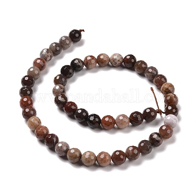 Природные окаменелое дерево бисер пряди G-E571-27B-1