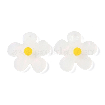 Непрозрачные акриловые подвески&nbsp;FIND-K024-02B-1