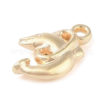 Пластмассовые подвески ccb&nbsp;FIND-U003-11G-1