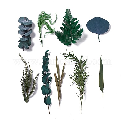 Сушеные цветы DIY-D052-03-1