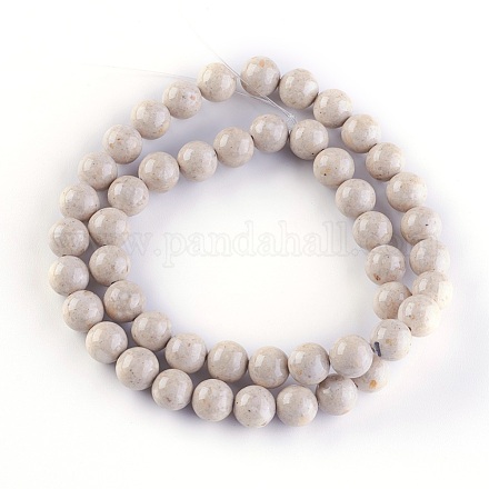 Perles en fossile naturelle G-E508-01-8mm-1