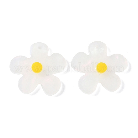 Непрозрачные акриловые подвески&nbsp;FIND-K024-02B-1