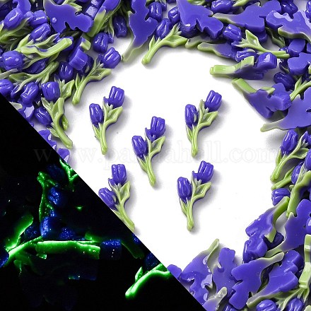 Светящиеся и двухцветные смоляные декодированные кабошоны RESI-Z032-02B-1