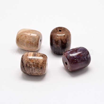 Natural Petrified Wood Beads G-P076-24-20mm-1