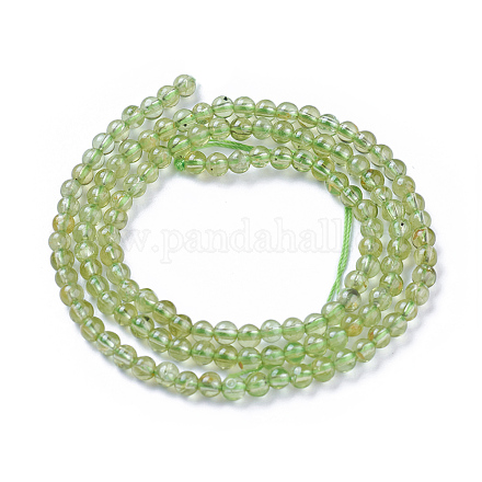 Natürlichen Peridot Perlen Stränge G-P433-26-1