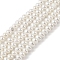 Electroplated Shell Pearl Beads Strands, Rondelle, Polished, White, 4x3mm, Hole: 0.6mm, about 125pcs/strand, 15.83''(40.2cm)