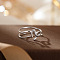 Twelve Constellations 925 Sterling Silver Finger Rings, Platinum, Capricorn, Inner Diameter: 16~19mm