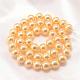 Round Shell Pearl Bead Strands BSHE-L011-8mm-A008-3