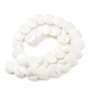 Chapelets de perles de coquille de trochid / trochus coquille SSHEL-R145-03-2