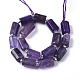 Natural Amethyst Beads Strands X-G-S345-8x11-004-2