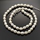 Oval Shell Pearl Bead Strands BSHE-M010-24-2