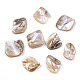 Freshwater Shell Beads SSHEL-T005-11-2
