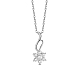 Collar con colgante de plata de ley shegrace de moda 925 JN529A-1
