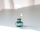 Bottiglie di vaso di vetro in miniatura trasparente BOTT-PW0006-10B-1