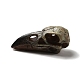 Crow Raven Bird Skull Resin Home Display Decoration RESI-A018-01B-4