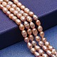 Natural Cultured Freshwater Pearl Beads Strands PEAR-P060-06A-1