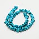 Chips Natural Howlite Beads Strands X-G-N0132-05-2