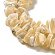 Brins de perles de coquillages naturels de troca SHEL-K006-38-3