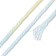10 Skeins 6-Ply Polyester Embroidery Floss OCOR-K006-A14-3